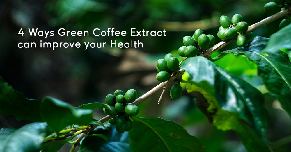 4 Ways Green Coffee Extract can improve your Health