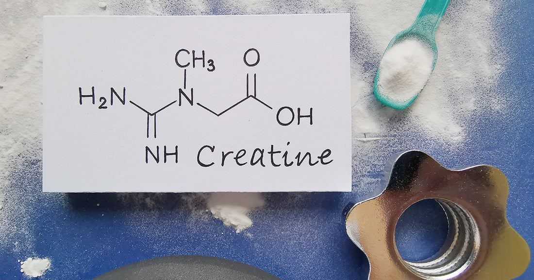 The Differences between Creatine HCL and Creatine Monohydrate