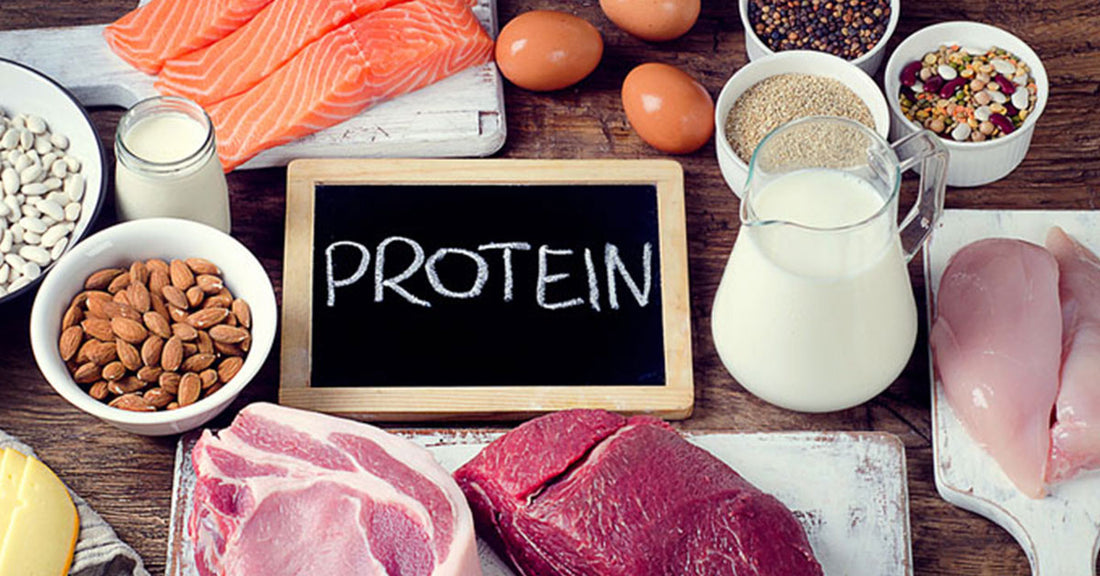 Protein 101: What, Which and How Much