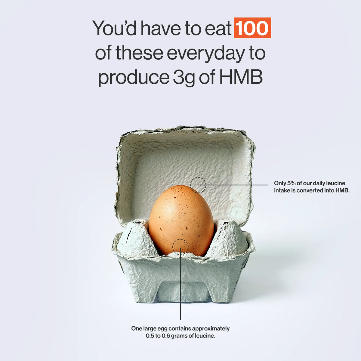 HMB 3000