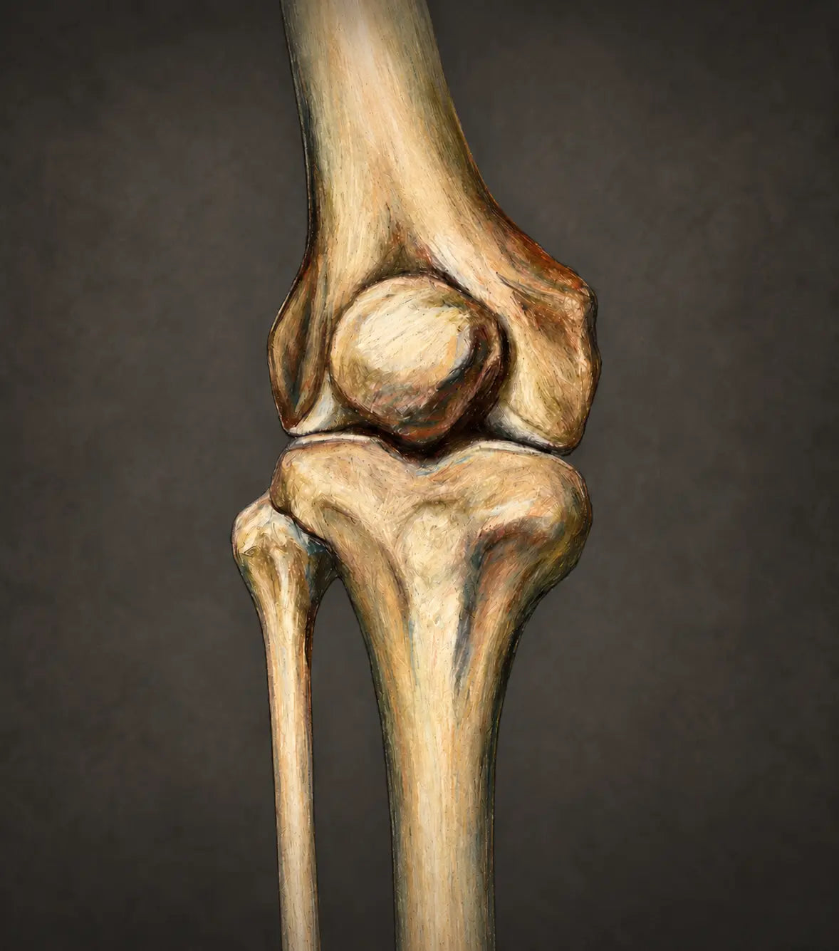 Support Bone Density