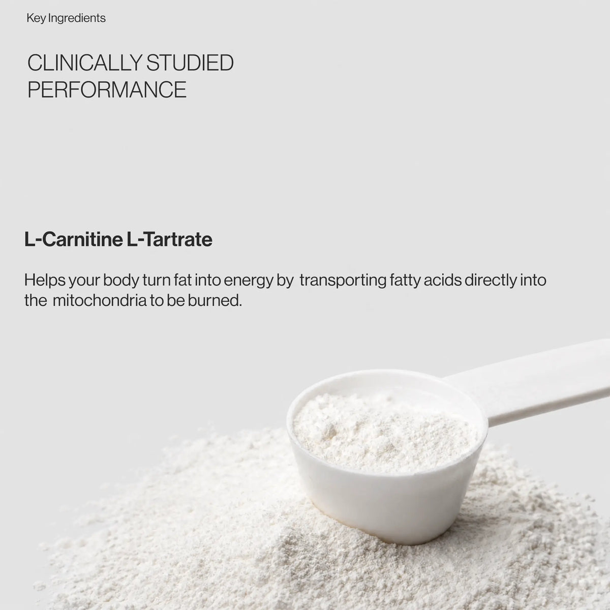 L-Carnitine 3000
