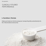 L-Carnitine 3000