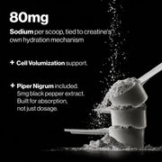 Creatine Monohydrate & HCl