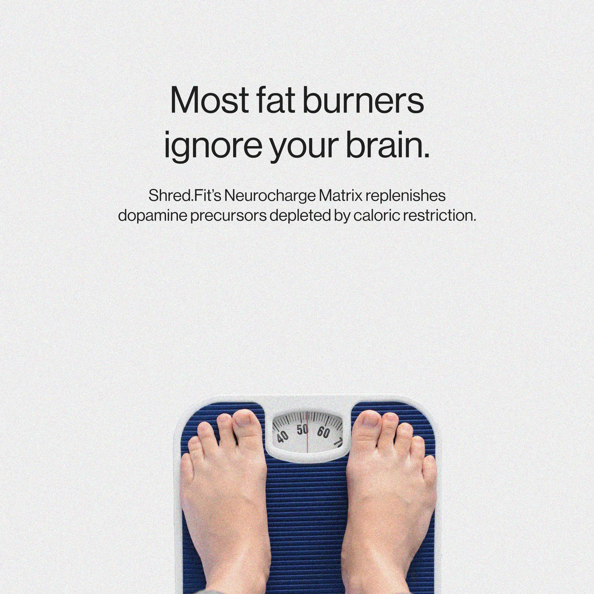 Shred.Fit