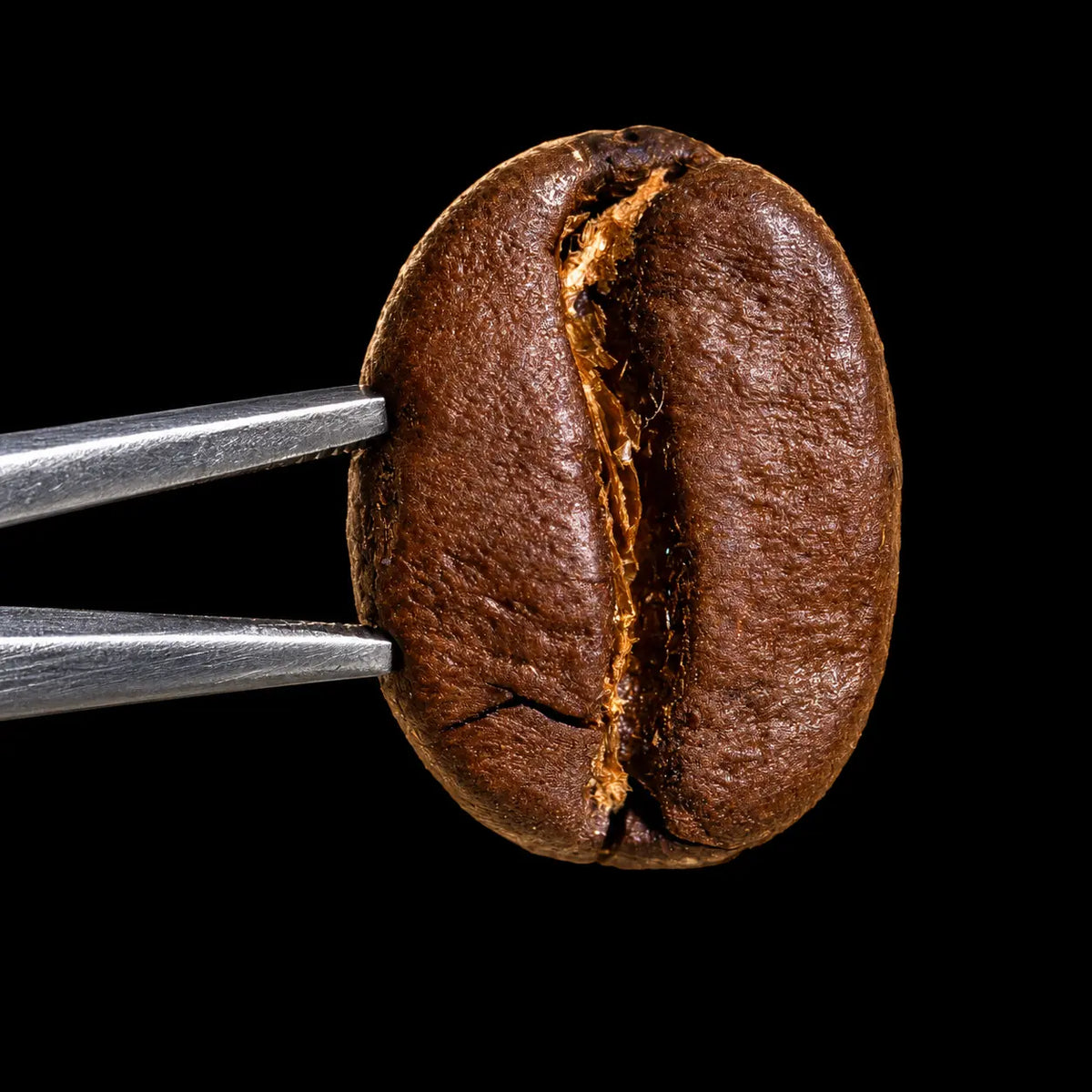 Coffea Arabica Extract