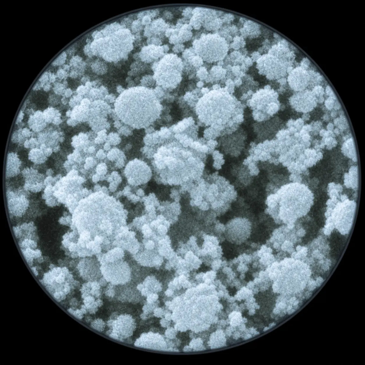 Milk Protein Concentrate