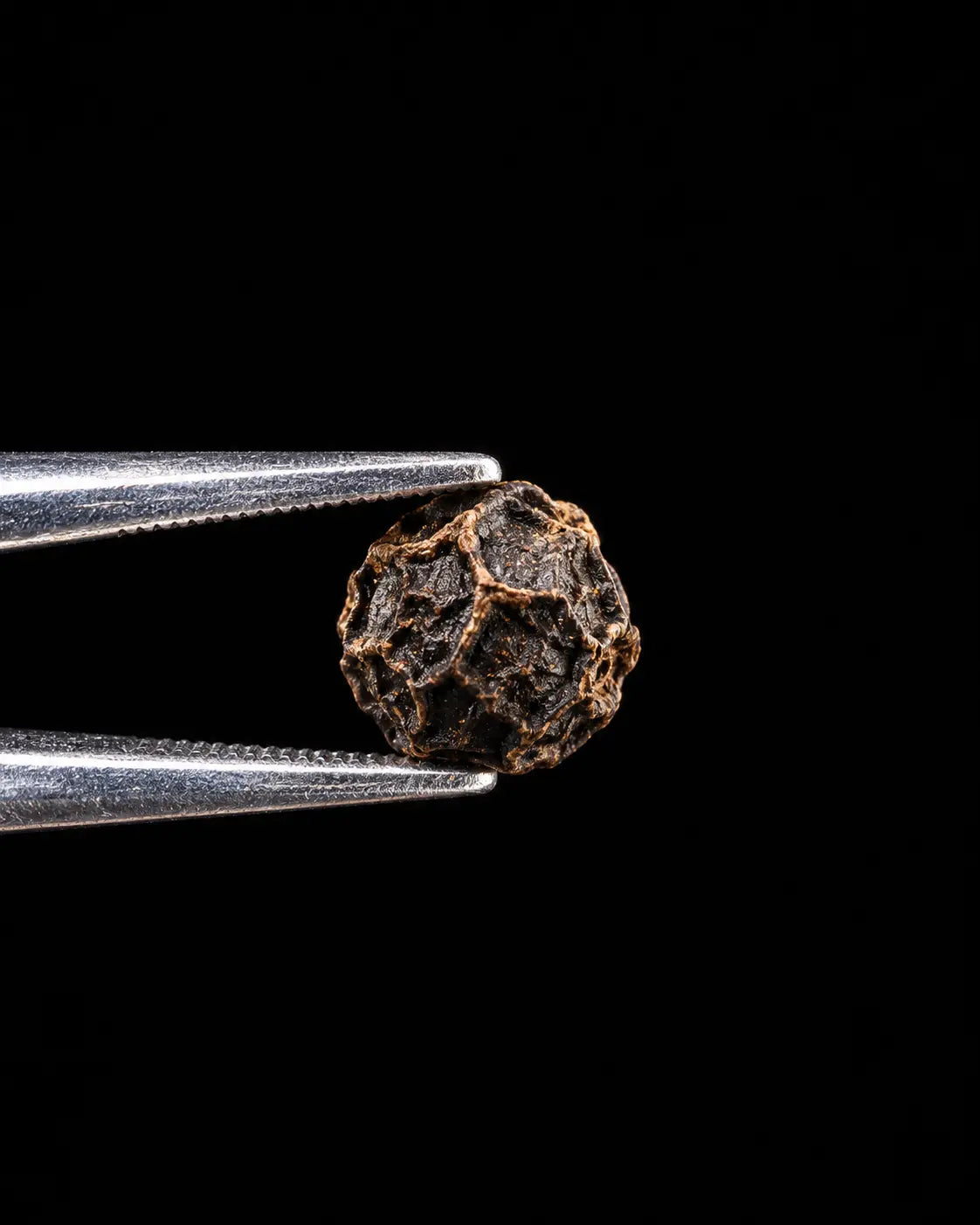 Piper Nigrum Extract