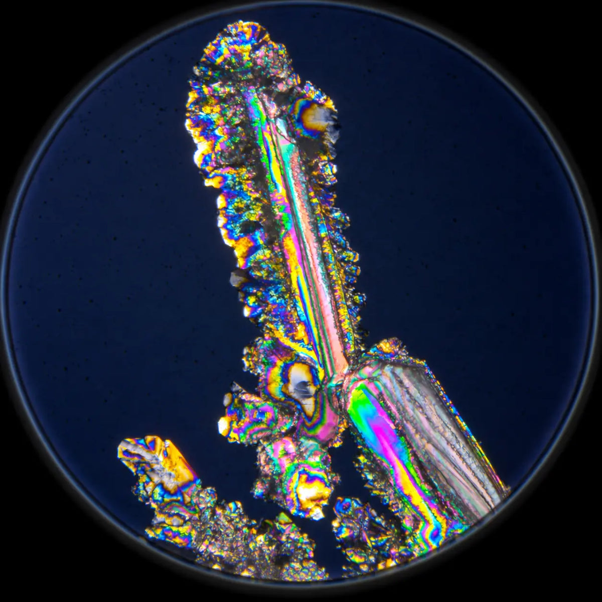 Potassium (Di-potassium Phosphate)