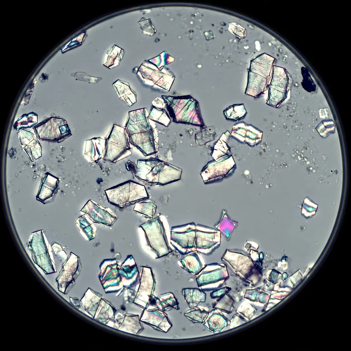 Elemental Calcium (from CaHMB)