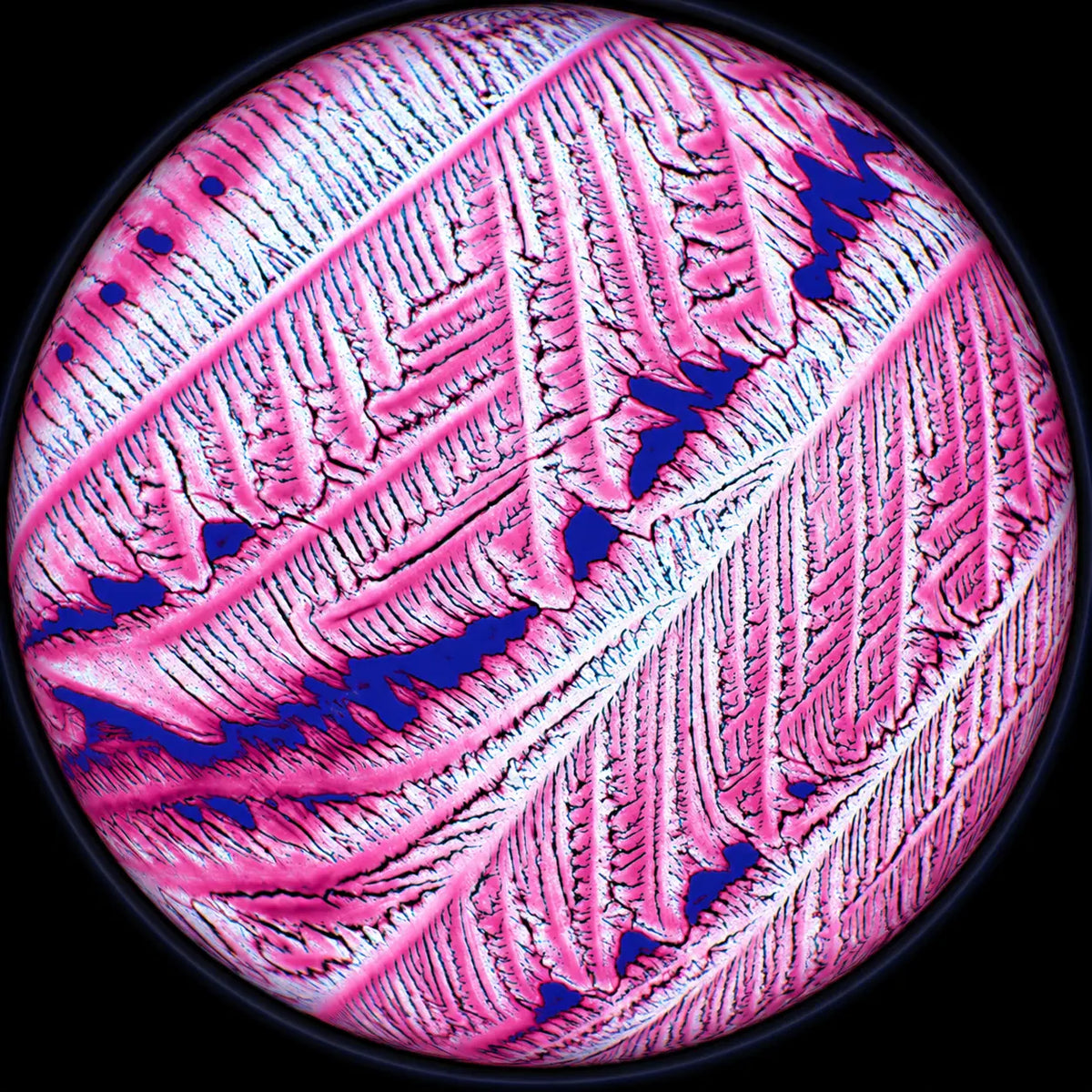 Iodine (as Potassium Iodide)
