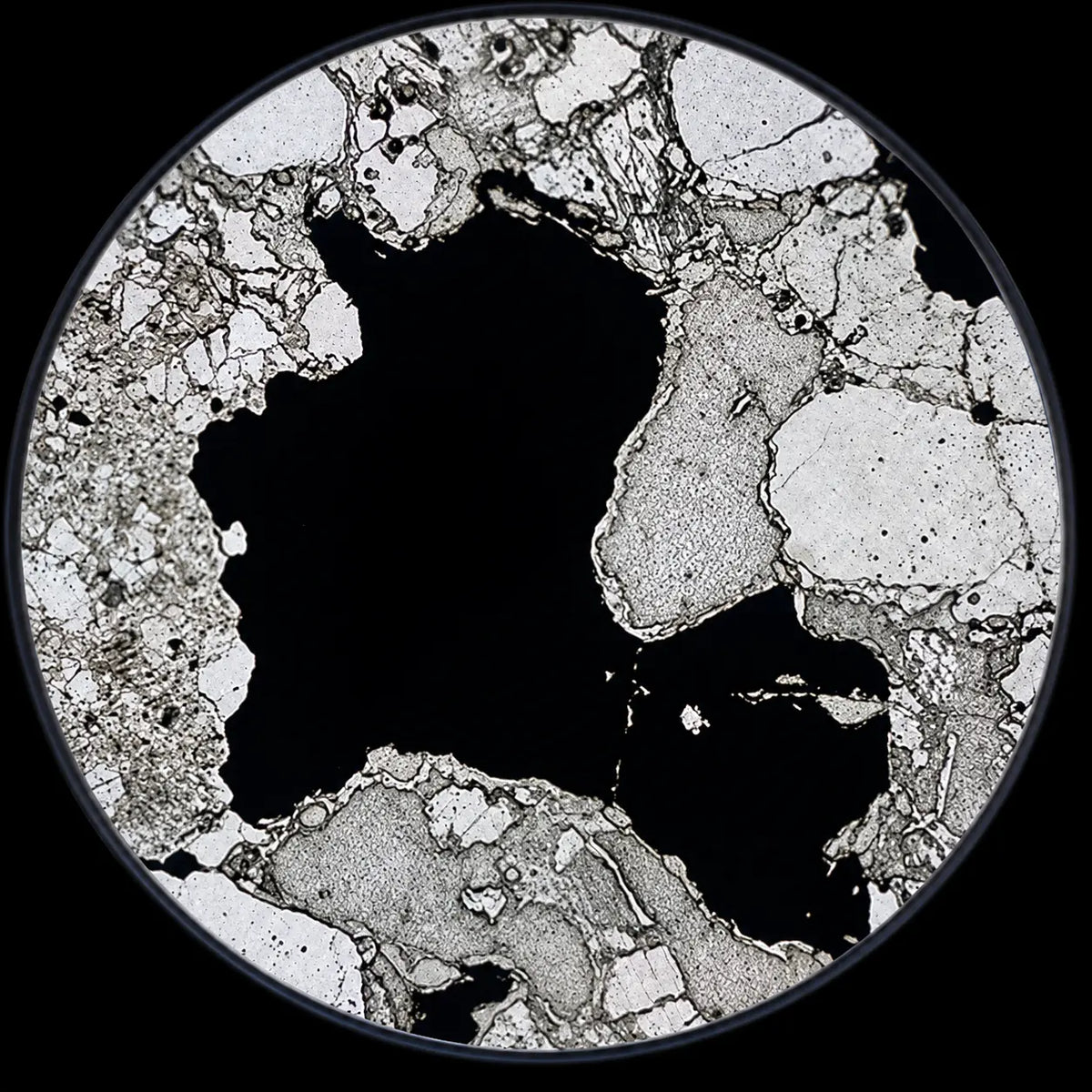 Molybdenum (as Amino Acid Chelate)