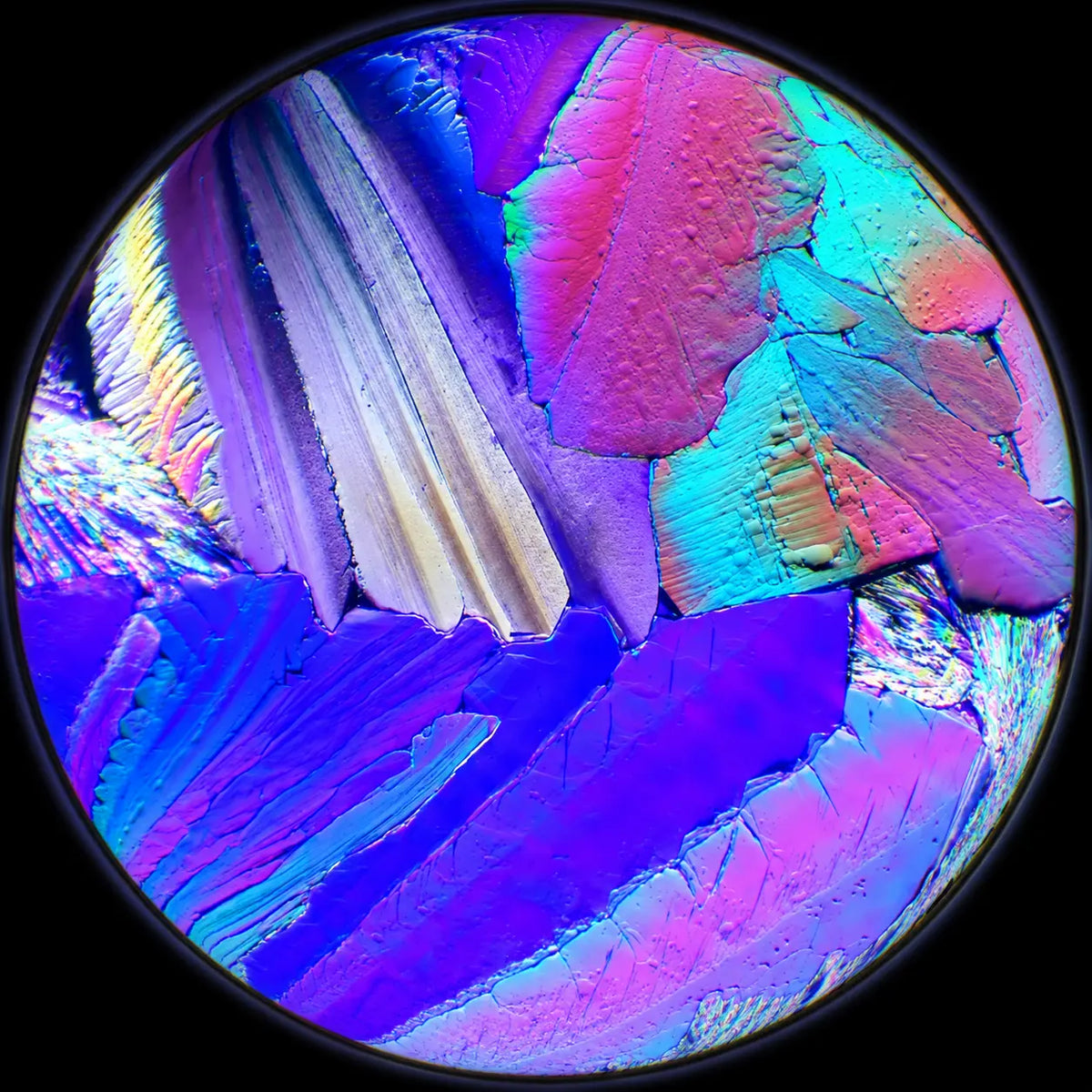 NAC (N-Acetyl L-Cysteine)