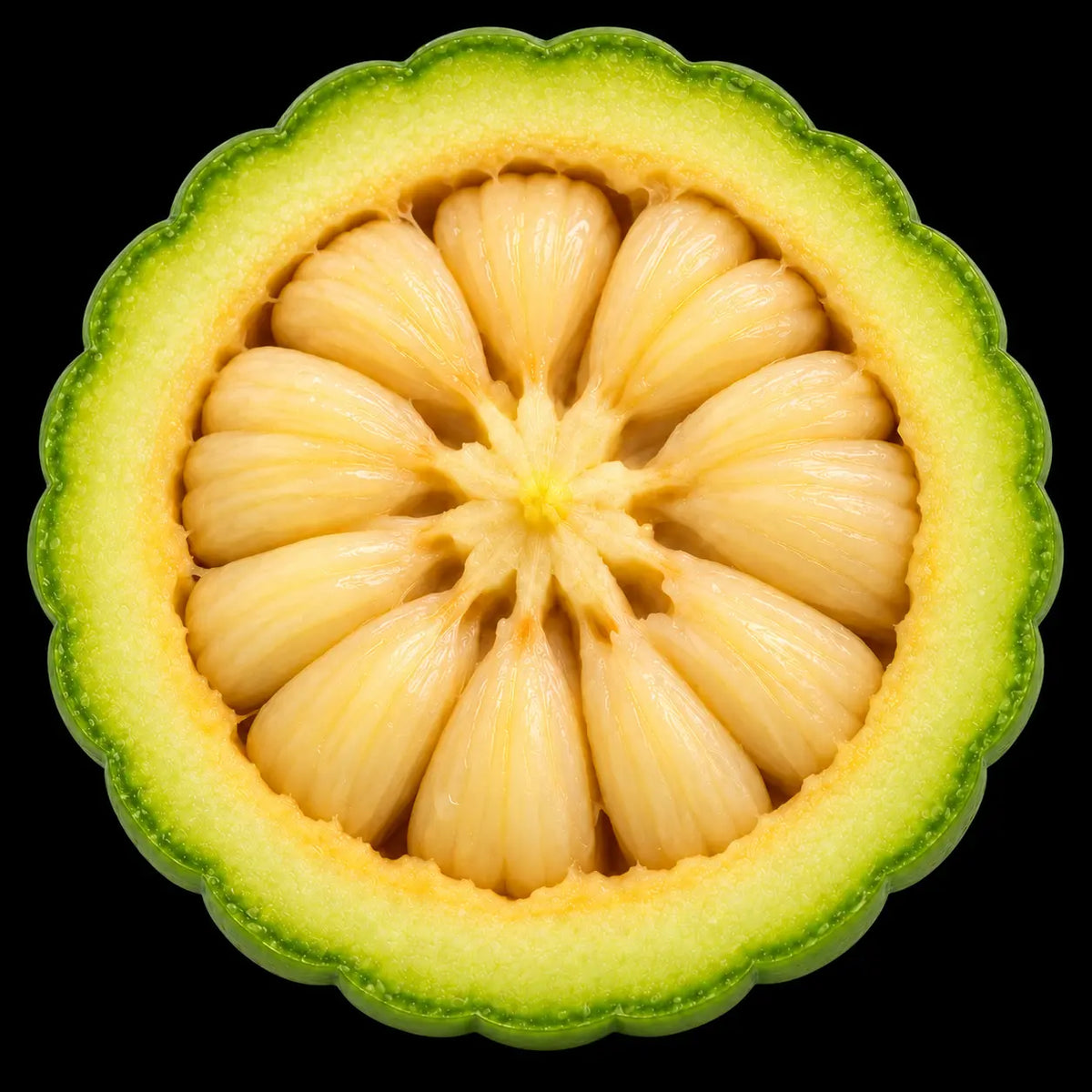 Garcinia Cambogia Extract (Std. to 50% Hydroxycitric Acid)