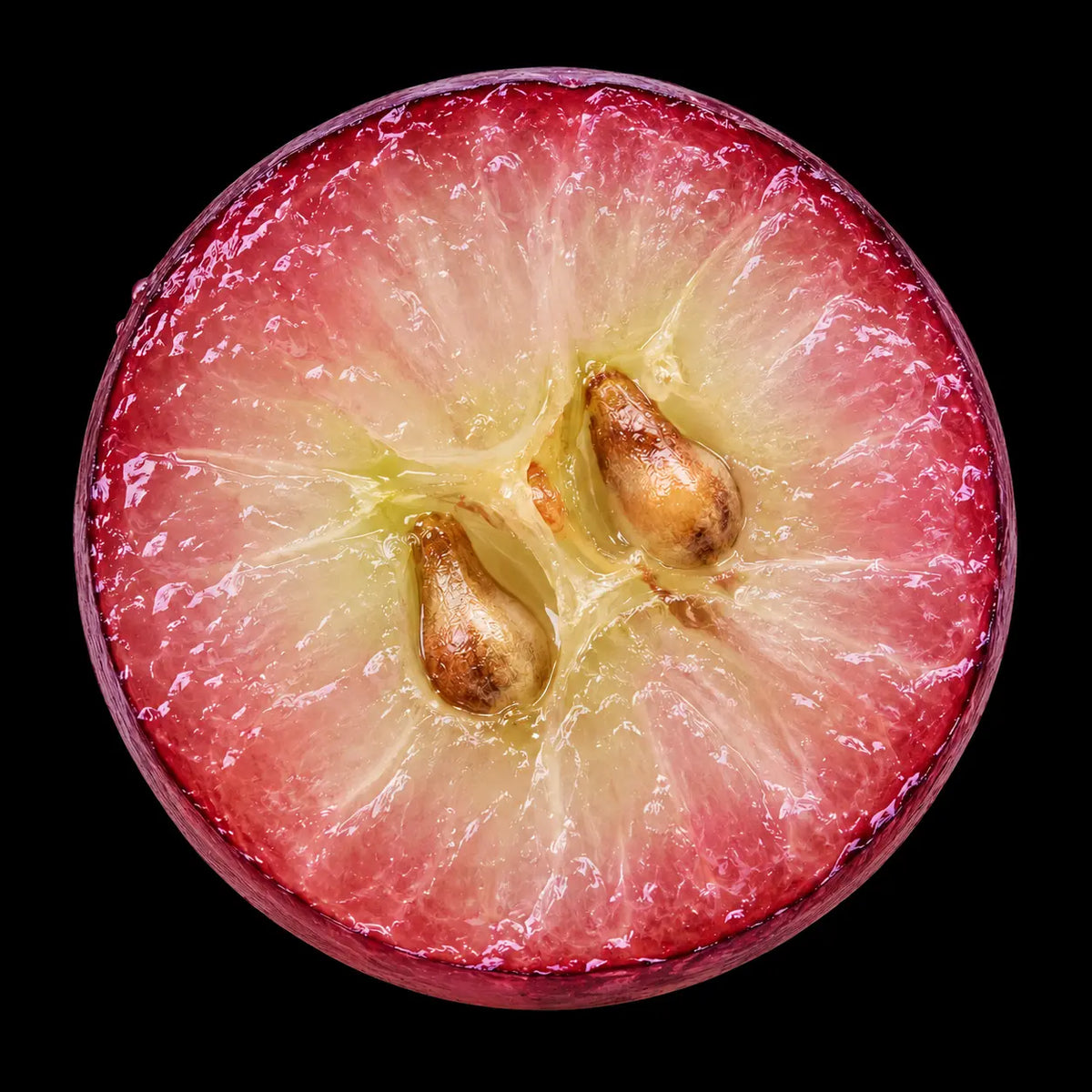 Grape Seed Extract