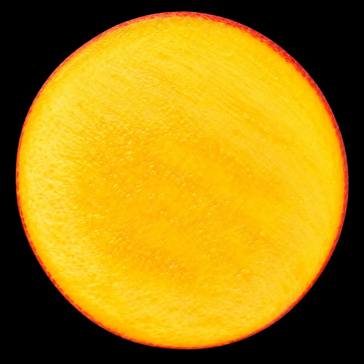Mangifera Indica Extract (60% Mangiferin)