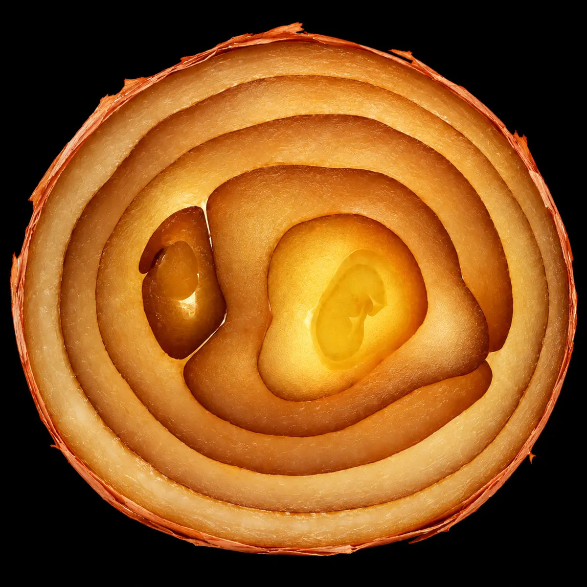 Quercetin