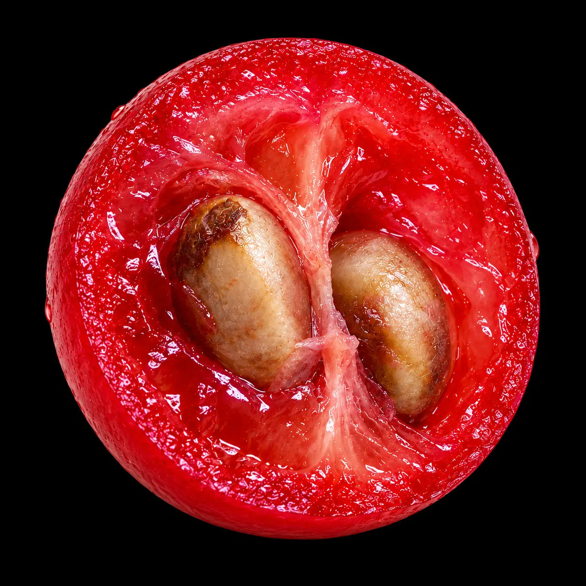 Schisandra Berry 10:1 Extract (2% Schizandrins)