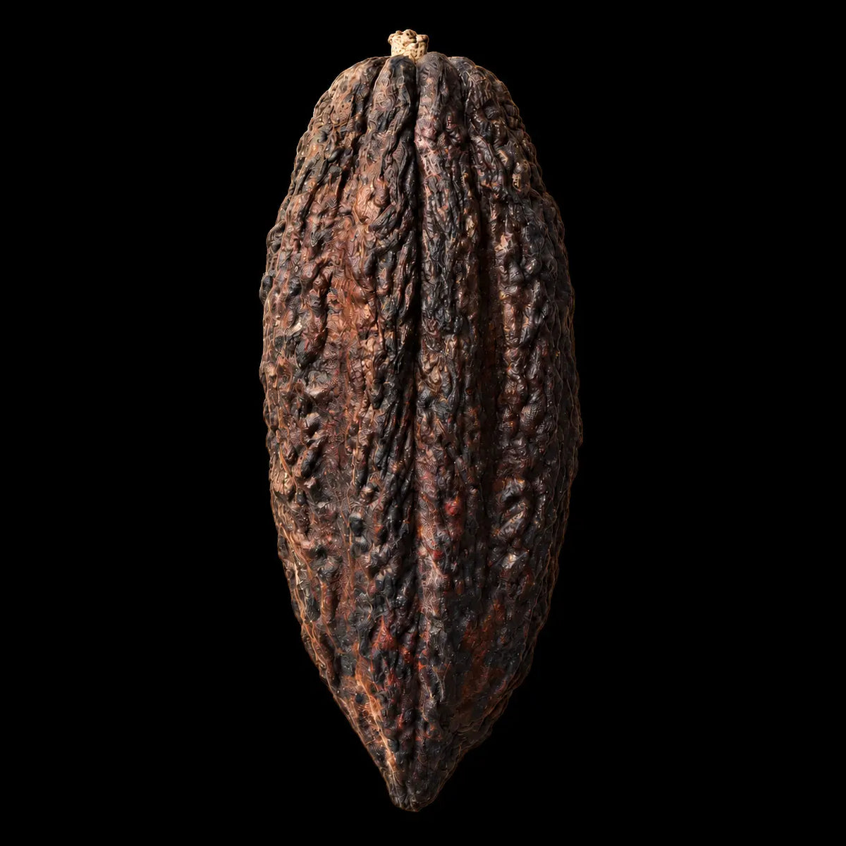 Theobromine