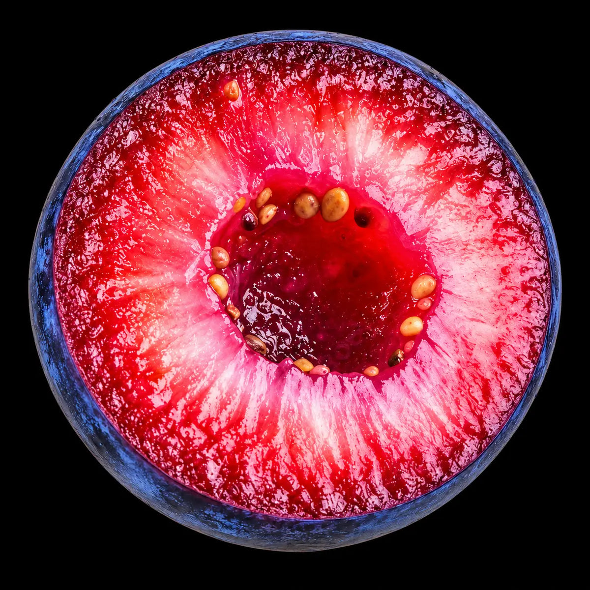 Vaccinium Myrstillus Extract