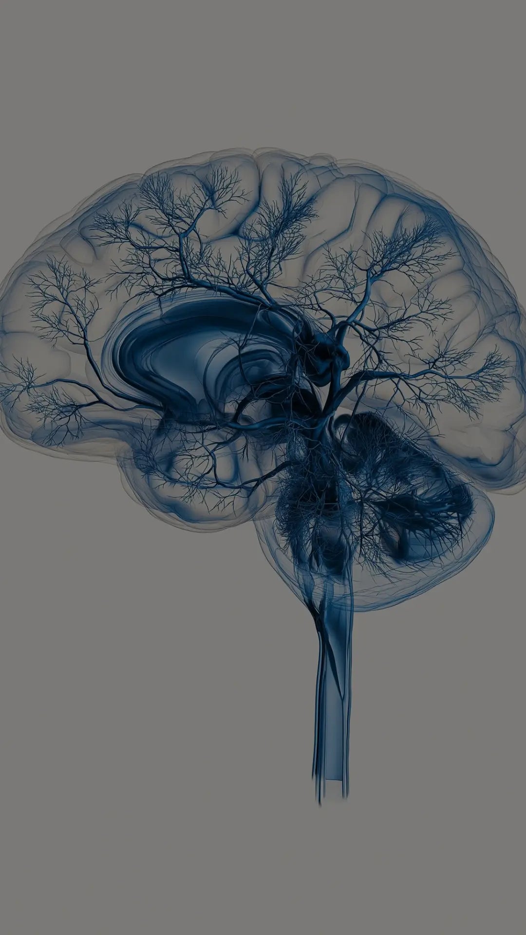 Neuro.Fit — Sharpens Focus and Mental Clarity